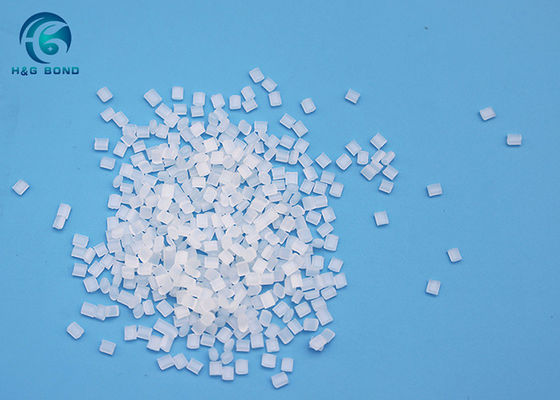 Multipolimero di polipropilene funzionalizzato con anidride maleica per Jelly Cup